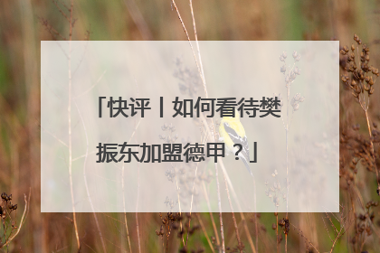 快评丨如何看待樊振东加盟德甲？