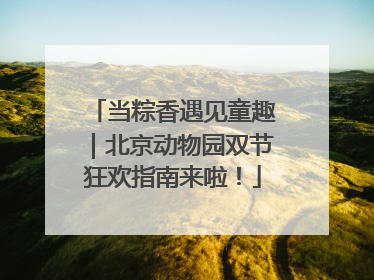 当粽香遇见童趣｜北京动物园双节狂欢指南来啦！