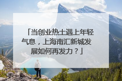 当创业热土遇上年轻气息，上海南汇新城发展如何再发力？