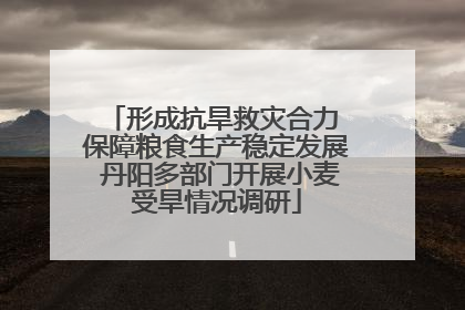 形成抗旱救灾合力 保障粮食生产稳定发展 丹阳多部门开展小麦受旱情况调研