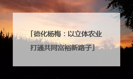 德化杨梅：以立体农业打通共同富裕新路子