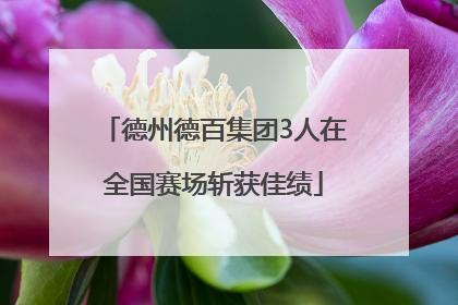 德州德百集团3人在全国赛场斩获佳绩