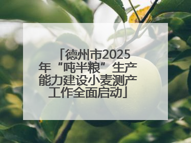 德州市2025年“吨半粮”生产能力建设小麦测产工作全面启动