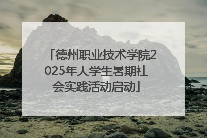 德州职业技术学院2025年大学生暑期社会实践活动启动