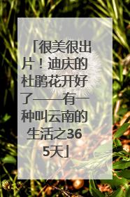 很美很出片！迪庆的杜鹃花开好了——有一种叫云南的生活之365天