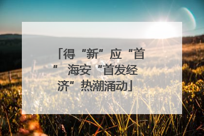 得“新”应“首” 海安“首发经济”热潮涌动