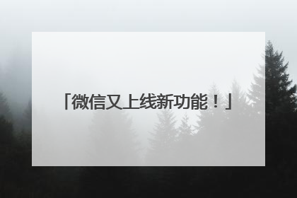 微信又上线新功能！