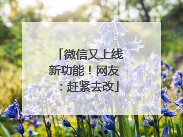 微信又上线新功能！网友：赶紧去改
