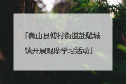 微山县傅村街道赴驩城镇开展观摩学习活动