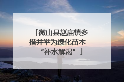 微山县赵庙镇多措并举为绿化苗木“补水解渴”