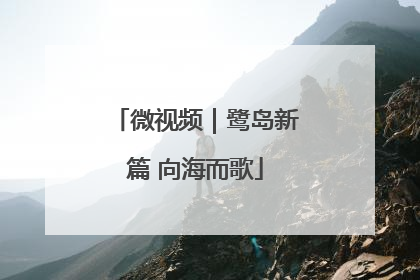 微视频｜鹭岛新篇 向海而歌