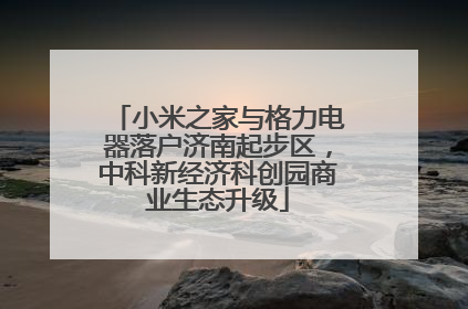 小米之家与格力电器落户济南起步区，中科新经济科创园商业生态升级