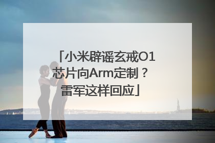 小米辟谣玄戒O1芯片向Arm定制？雷军这样回应