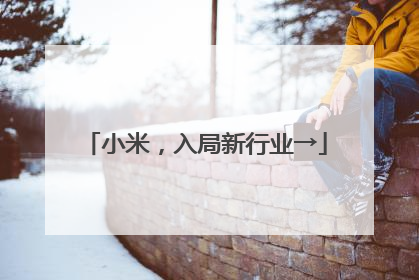 小米，入局新行业→