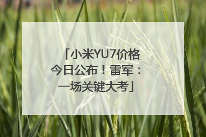 小米YU7价格今日公布！雷军：一场关键大考