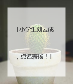 小学生刘云成，点名表扬！