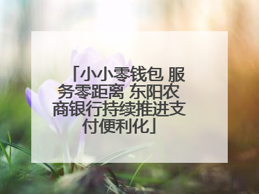 小小零钱包 服务零距离 东阳农商银行持续推进支付便利化