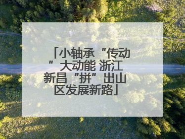 小轴承“传动”大动能 浙江新昌“拼”出山区发展新路