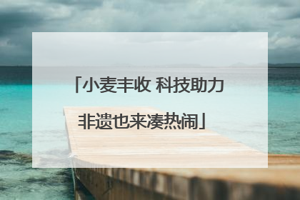 小麦丰收 科技助力 非遗也来凑热闹