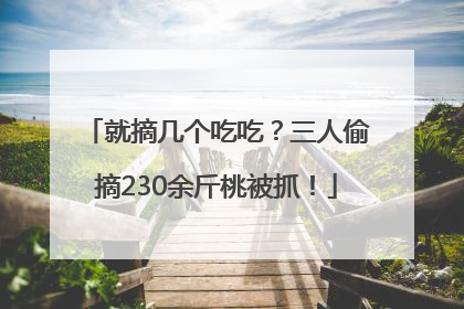 就摘几个吃吃？三人偷摘230余斤桃被抓！