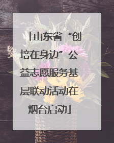 山东省“创培在身边”公益志愿服务基层联动活动在烟台启动