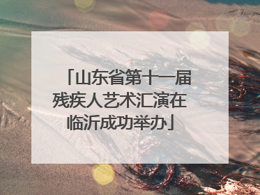 山东省第十一届残疾人艺术汇演在临沂成功举办