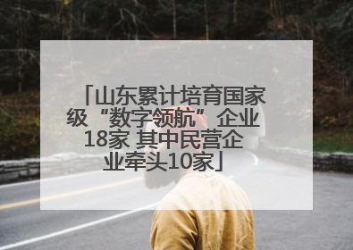 山东累计培育国家级“数字领航”企业18家 其中民营企业牵头10家