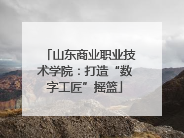 山东商业职业技术学院：打造“数字工匠”摇篮