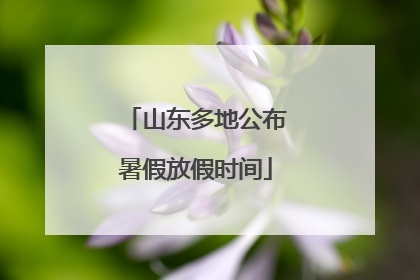 山东多地公布暑假放假时间