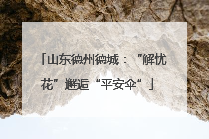 山东德州德城：“解忧花”邂逅“平安伞”