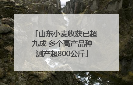 山东小麦收获已超九成 多个高产品种测产超800公斤