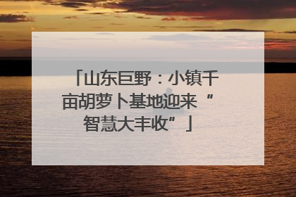 山东巨野：小镇千亩胡萝卜基地迎来“智慧大丰收”