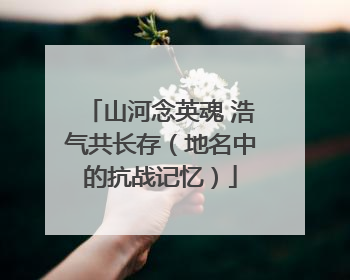山河念英魂 浩气共长存（地名中的抗战记忆）