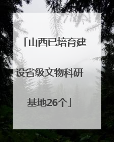 山西已培育建设省级文物科研基地26个