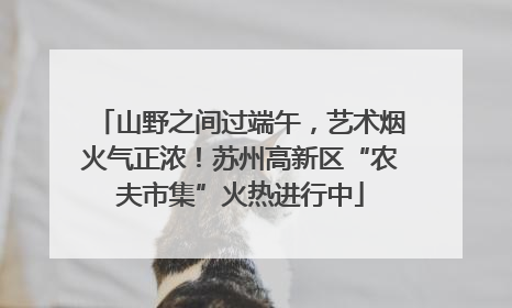 山野之间过端午，艺术烟火气正浓！苏州高新区“农夫市集”火热进行中