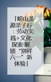 崂山茶源亲子行：劳动实践+文化探索 解锁“别样六一”新体验