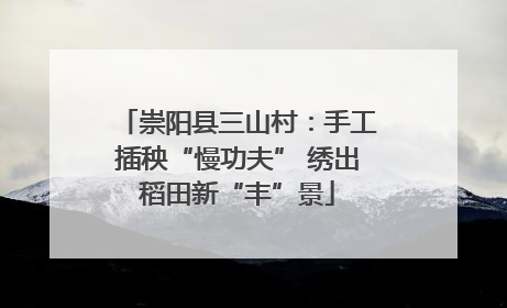 崇阳县三山村：手工插秧“慢功夫” 绣出稻田新“丰”景