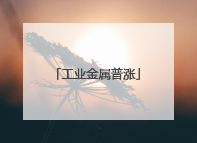 工业金属普涨