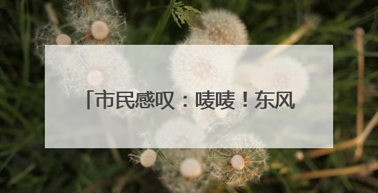 市民感叹：唛唛！东风广场比以前大好多！