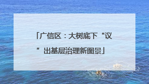 广信区：大树底下“议”出基层治理新图景