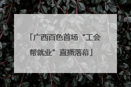 广西百色首场“工会帮就业”直播落幕