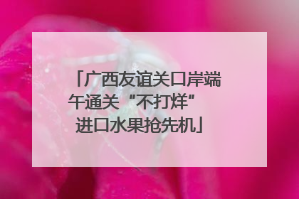 广西友谊关口岸端午通关“不打烊” 进口水果抢先机