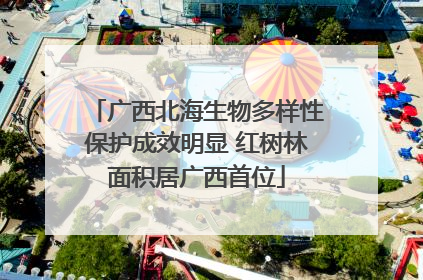 广西北海生物多样性保护成效明显 红树林面积居广西首位