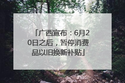 广西宣布：6月20日之后，暂停消费品以旧换新补贴
