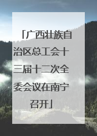 广西壮族自治区总工会十三届十二次全委会议在南宁召开