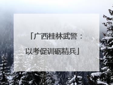 广西桂林武警：以考促训砺精兵