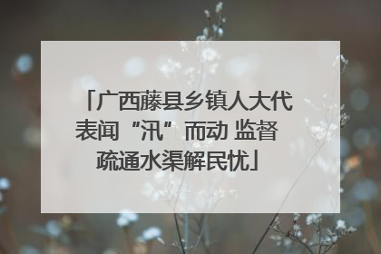 广西藤县乡镇人大代表闻“汛”而动 监督疏通水渠解民忧