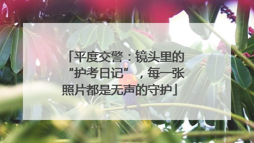 平度交警：镜头里的“护考日记”，每一张照片都是无声的守护
