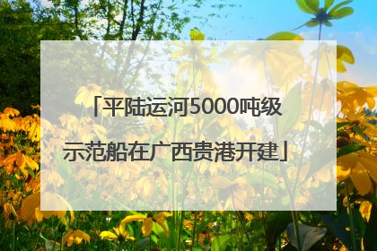 平陆运河5000吨级示范船在广西贵港开建