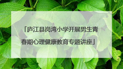 庐江县岗湾小学开展男生青春期心理健康教育专题讲座